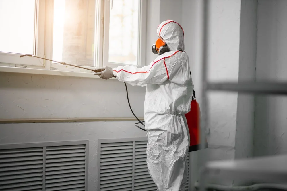 Professional mold remediation services in Mar Lin, PA